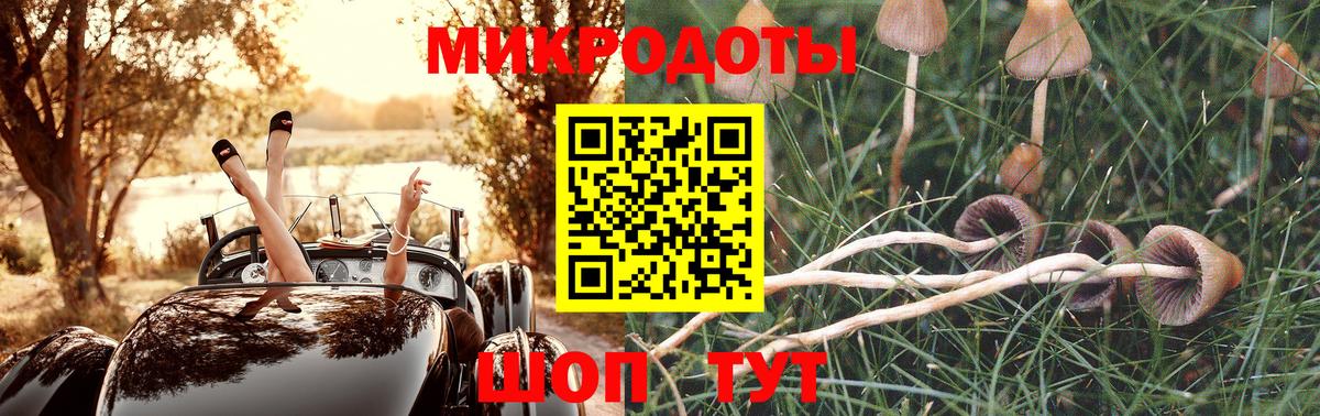 Галлюциногенные грибы прущие грибы Трёхгорный