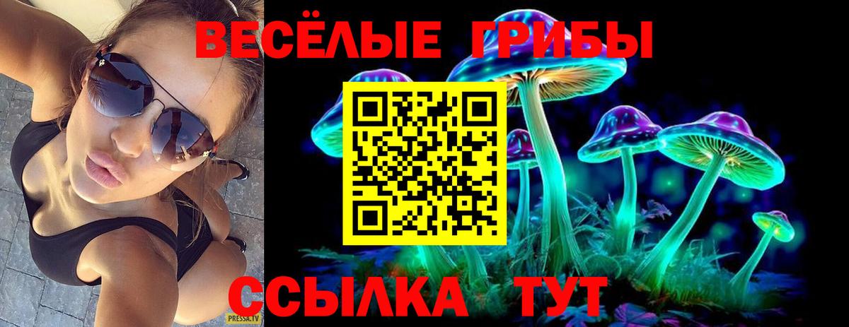 Галлюциногенные грибы прущие грибы  Вход с VPN  Трёхгорный  Псилоцибиновые грибы Psilocybine cubensis 